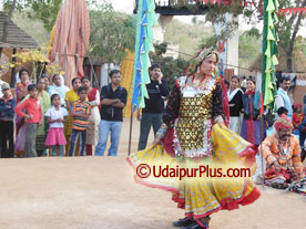 Shilpgram Utsav 2007, Udaipur, Rajasthan