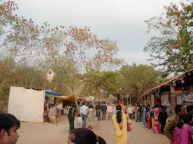 Shilpgram Utsav 2007, Udaipur, Rajasthan