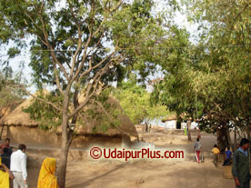 Shilpgram Utsav 2007, Udaipur, Rajasthan