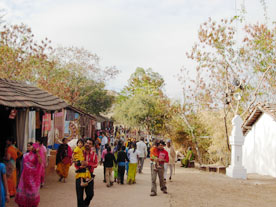 Shilpgram Festival 2007 Photos Udaipur
