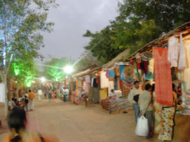 Shilpgram Utsav 2007, Udaipur, Rajasthan