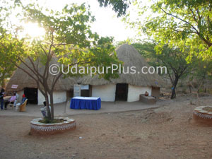 Shilpgram Utsav 2008, Udaipur, Rajasthan