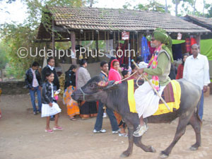 Shilpgram Utsav 2008, Udaipur, Rajasthan