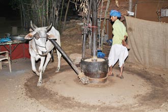 Shilpgram Utsav 2009, Udaipur, Rajasthan
