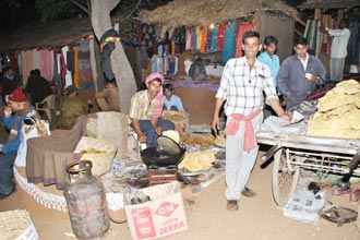 Shilpgram Utsav 2009, Udaipur, Rajasthan