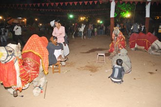 Shilpgram Utsav 2009, Udaipur, Rajasthan