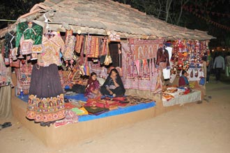 Shilpgram Utsav 2009, Udaipur, Rajasthan