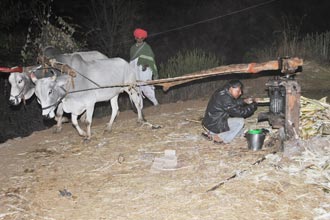 Shilpgram Utsav 2009, Udaipur, Rajasthan