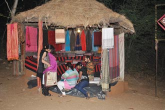 Shilpgram Utsav 2009, Udaipur, Rajasthan