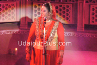 Shilpgram Utsav 2010, Udaipur, Rajasthan