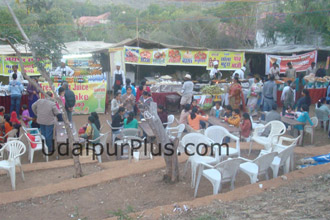 Shilpgram Utsav 2010, Udaipur, Rajasthan