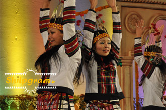 Shilpgram Utsav 2011, Udaipur, Rajasthan