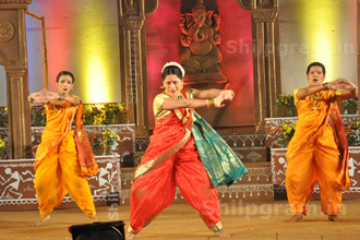 Shilpgram Utsav 2011, Udaipur, Rajasthan