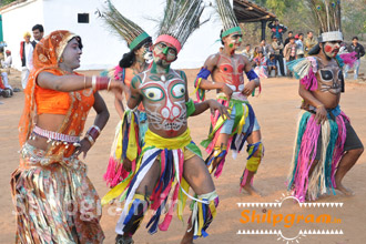 Shilpgram Utsav 2011, Udaipur, Rajasthan