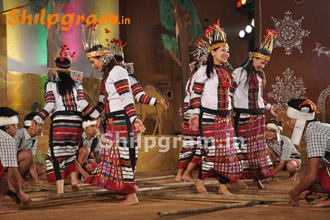 Shilpgram Utsav 2011, Udaipur, Rajasthan
