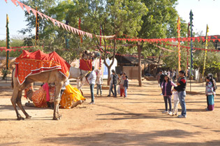 Shilpgram Utsav 2012, Udaipur, Rajasthan