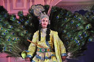 Shilpgram Utsav 2014, Udaipur, Rajasthan