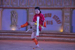 Shilpgram Utsav 2015, Udaipur, Rajasthan