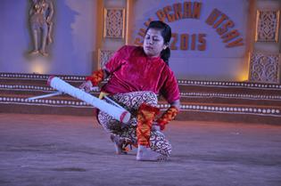 Shilpgram Utsav 2015, Udaipur, Rajasthan