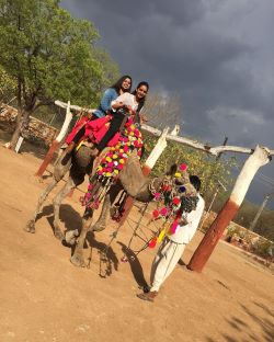 Shilpgram Utsav 2019, Udaipur, Rajasthan