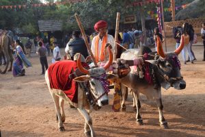 Shilpgram Utsav 2019, Udaipur, Rajasthan